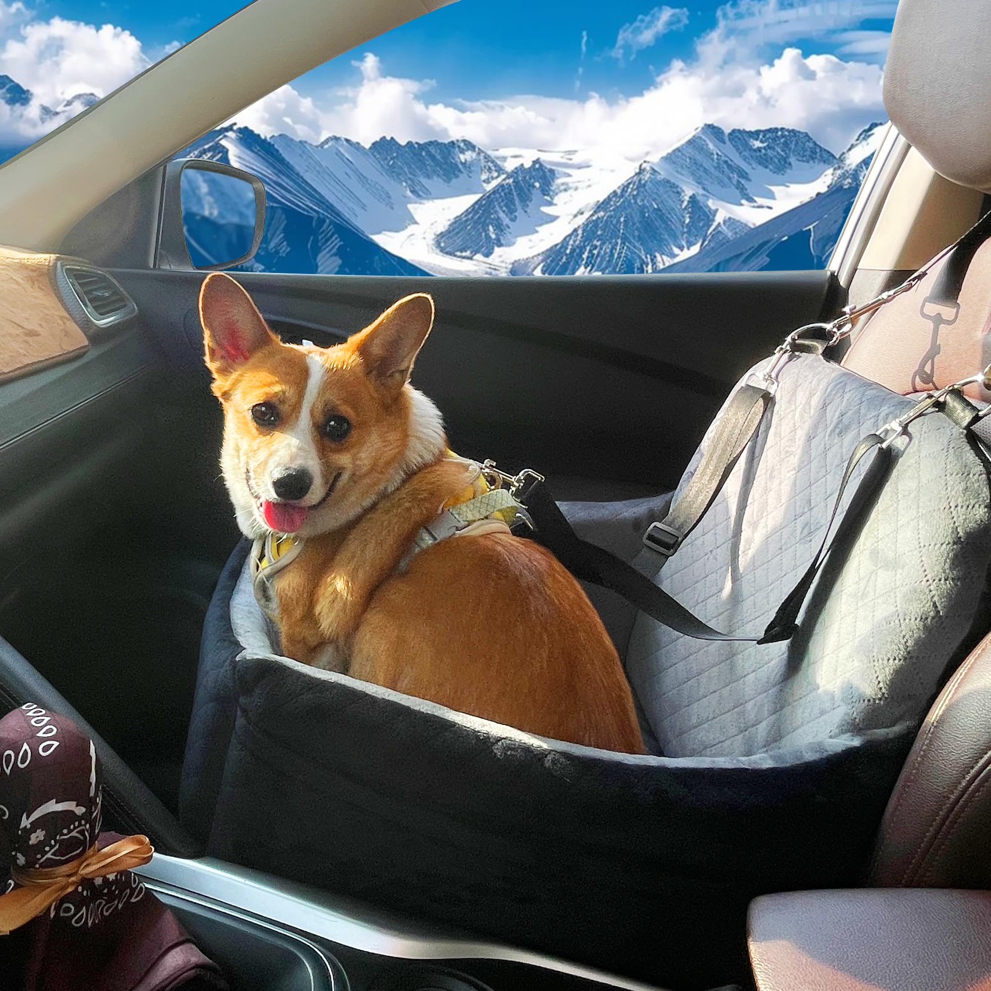 VERGODPRO dog car seat size 18-9-17-3 fits small dogs well.