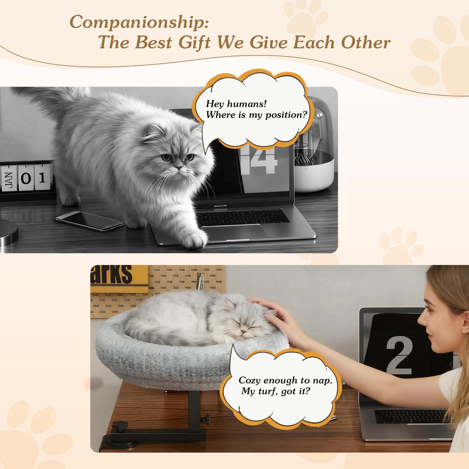 VERIFOST cat bed height-adjustable demonstrates flexible desk positioning for your cat
