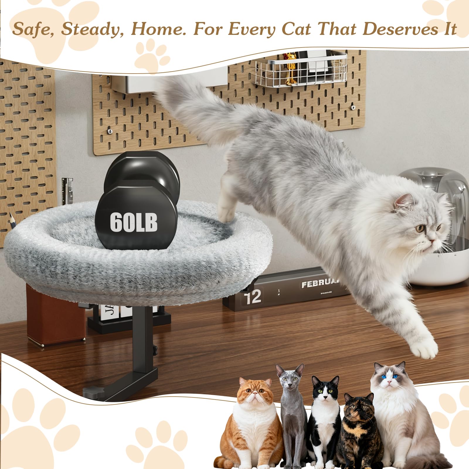 VERIFOST cat bed plush-cushion provides cloud-soft warmth for naps