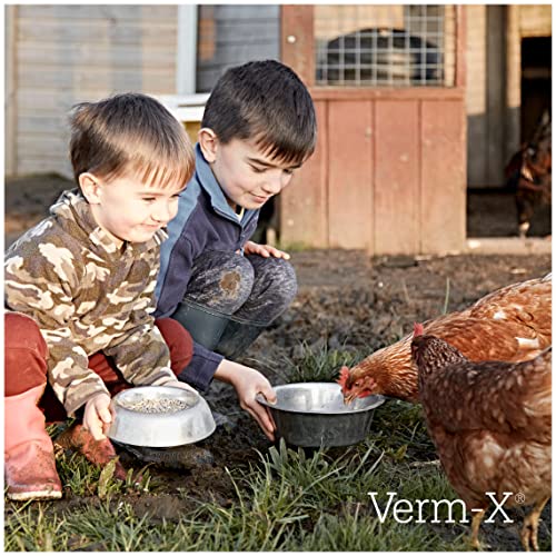Chickens drinking Verm-X water illustrating accessible parasite management.