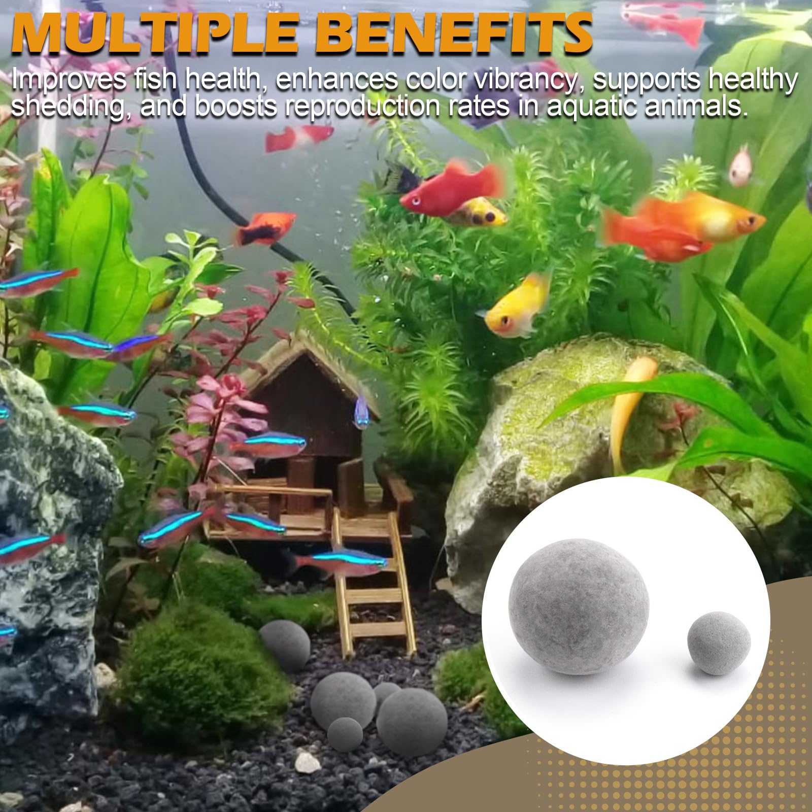 Verplexter Shrimp Tourmaline regular calcium boost for crustaceans