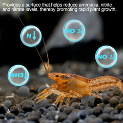 Verplexter Shrimp Tourmaline regular color vibrancy under lighting