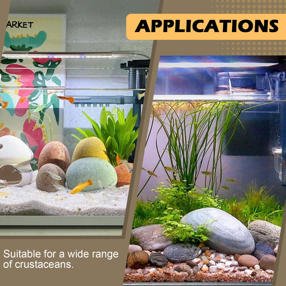 Verplexter Shrimp Tourmaline regular reproduction potential in aquatic pets