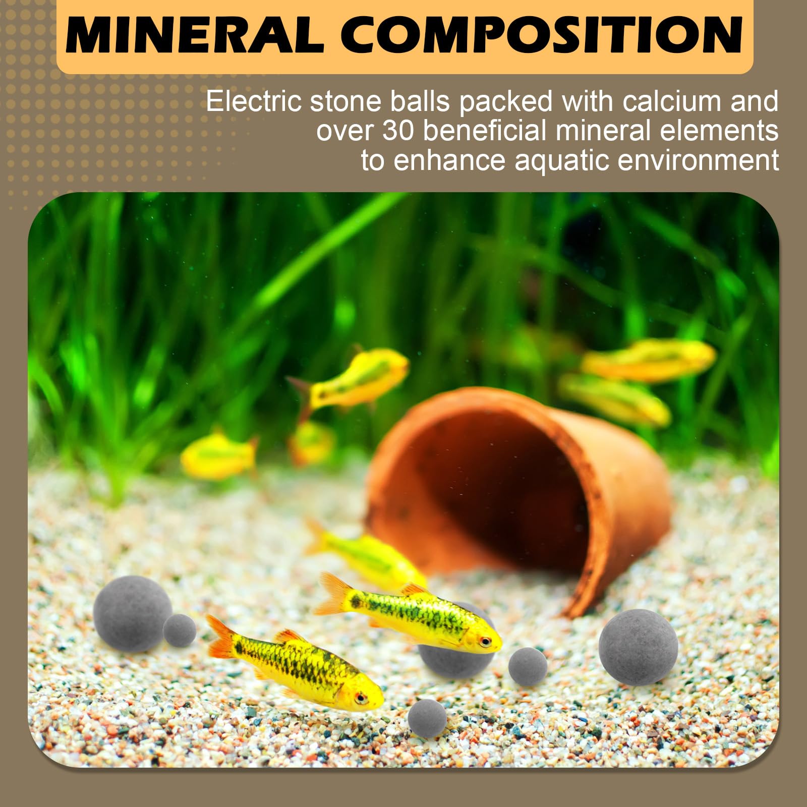 Verplexter Shrimp Tourmaline regular shedding support in tank