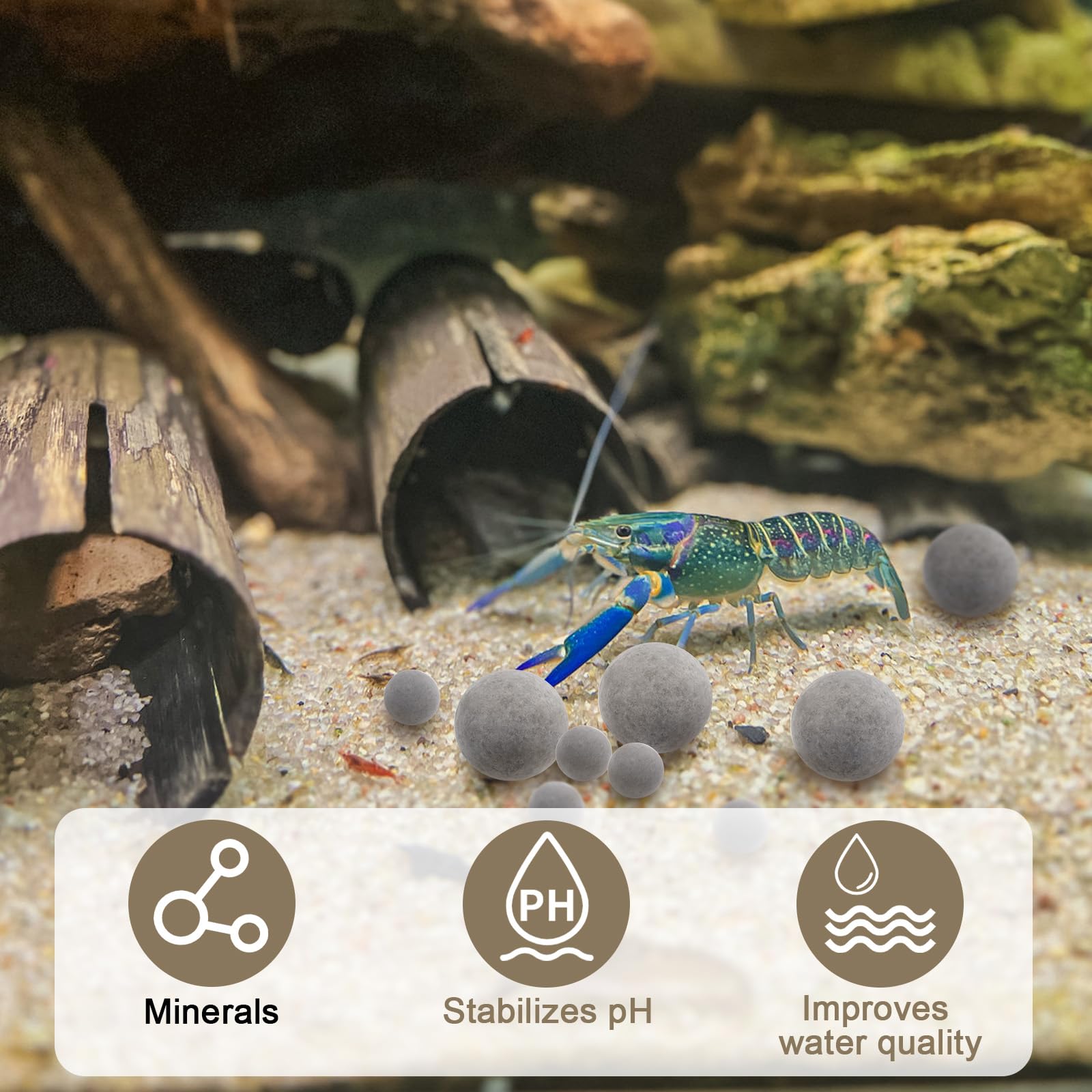 Verplexter Shrimp Tourmaline regular survival rate in invertebrates