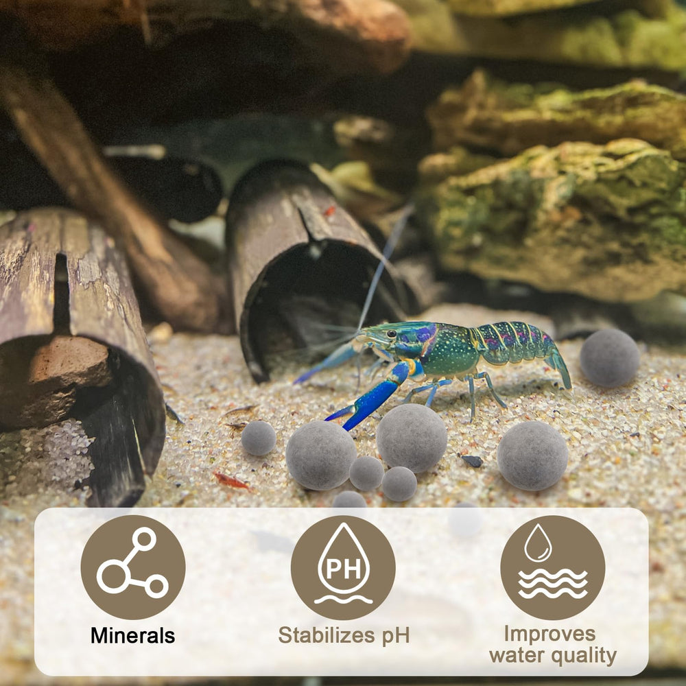 Verplexter Shrimp Tourmaline regular survival rate in invertebrates