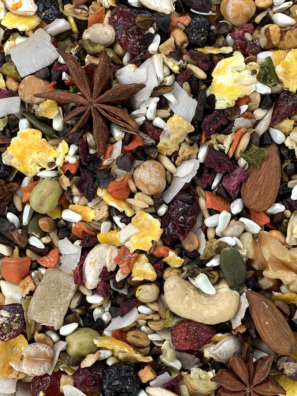 Versele-Laga Goldenfeast Central American Blend 3lb bag serving view promoting variety.