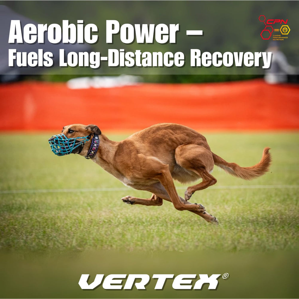 Vertex joint-support with glucosamine emphasizes mobility and resilience