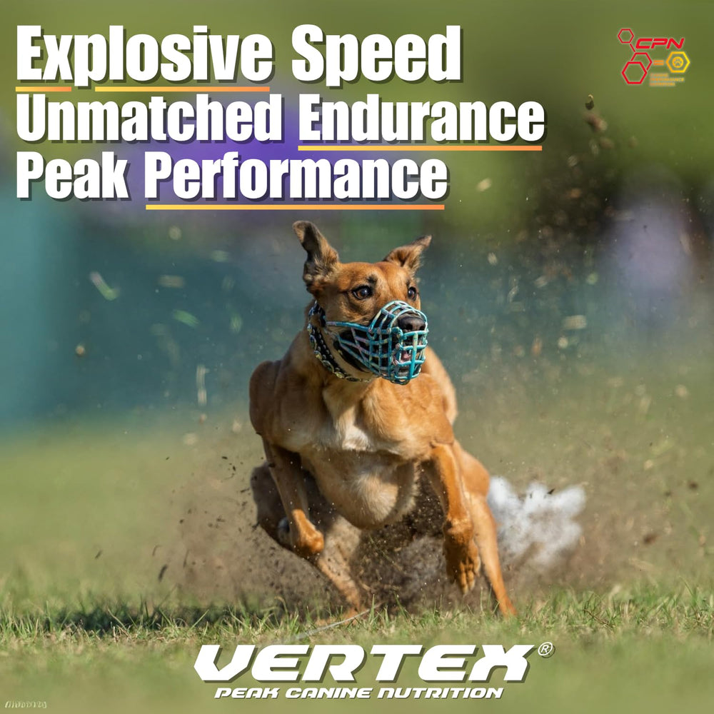 Vertex protein-gravy mix dog bowl shows meal appeal for picky eaters