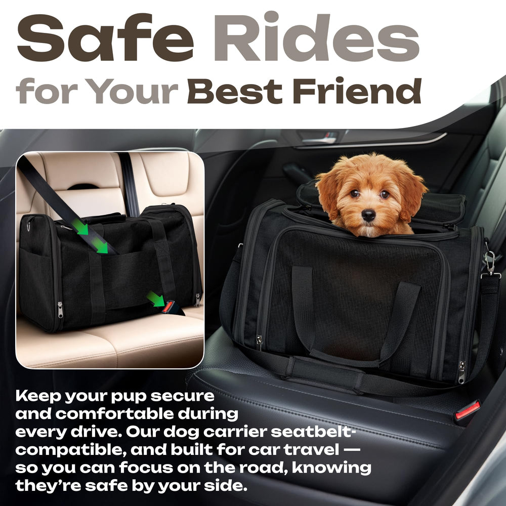 Vertical-Pro stylish pet carrier suitable for medium cats and small dogs.