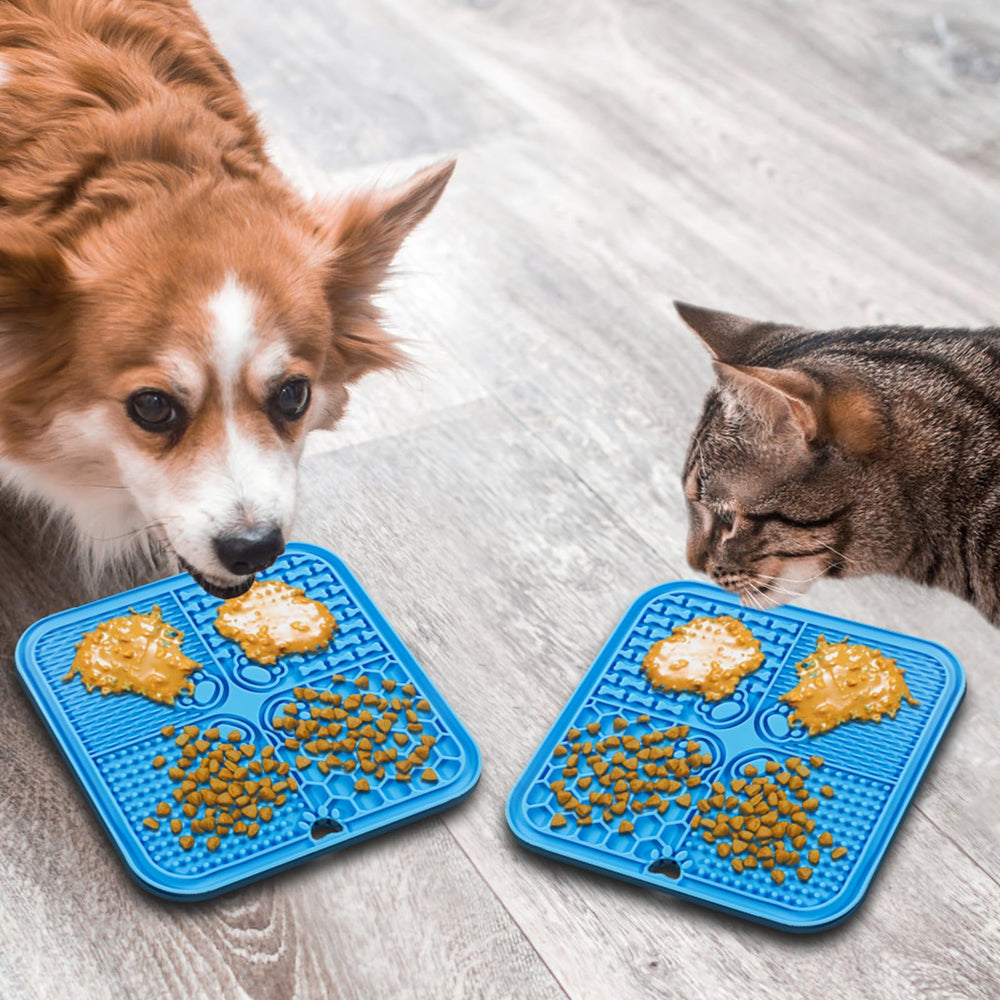Verwohnt blue-orange pack provides dual colors to engage pets during meals.