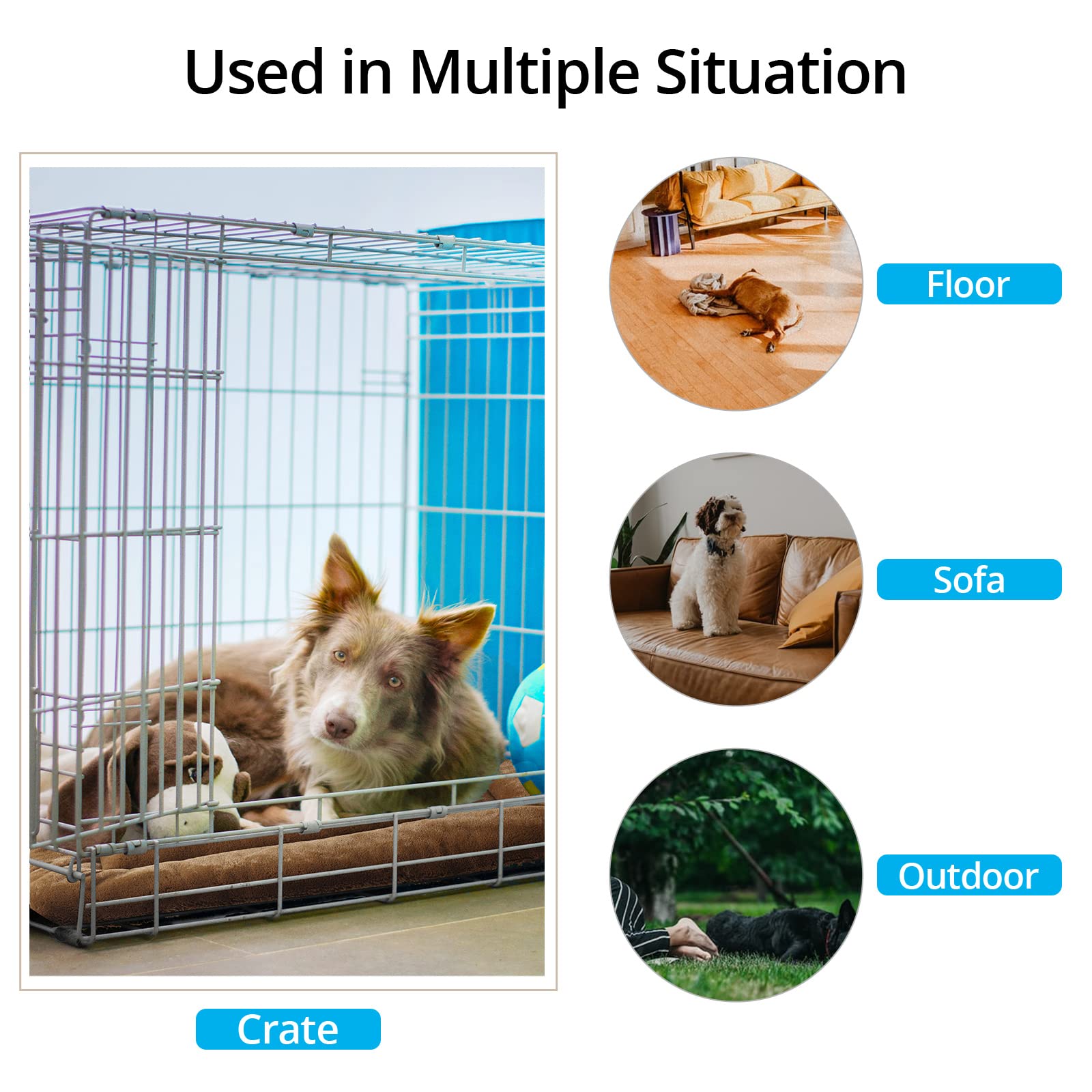 VERZEY machine-washable dog bed for easy cleaning after adventures.