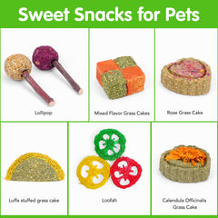 VESPRO rabbit-toy-rose-grass-stick supports teeth grinding and interactive play