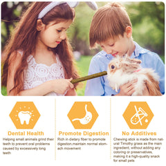 VESPRO rose hay sticks close-up showing vibrant petals for interactive nibbling.