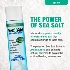 Vet Aid dog paw wound care spray during home treatment.