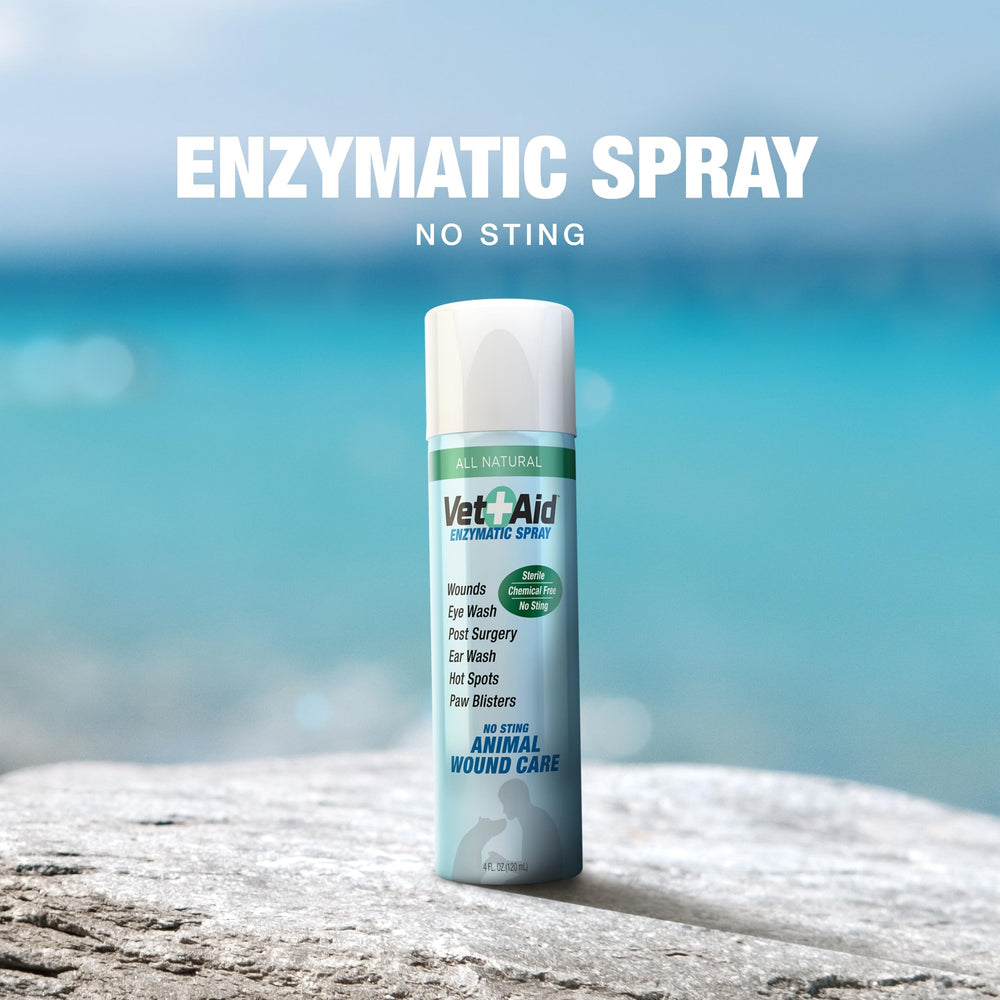 Vet Aid rain rot treatment applied to a horse.