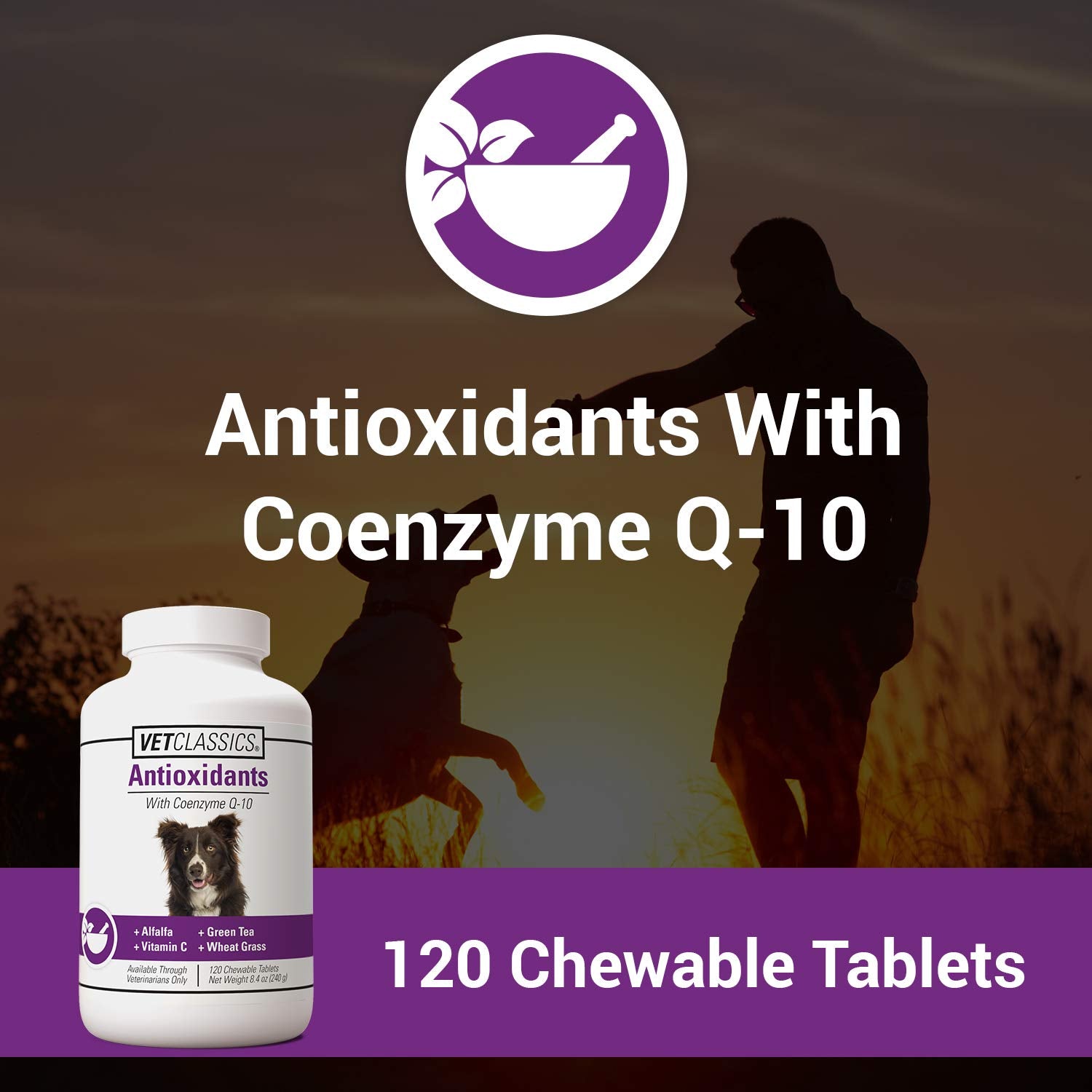 Vet Classics antioxidants chewables close-up supporting daily antioxidant health.