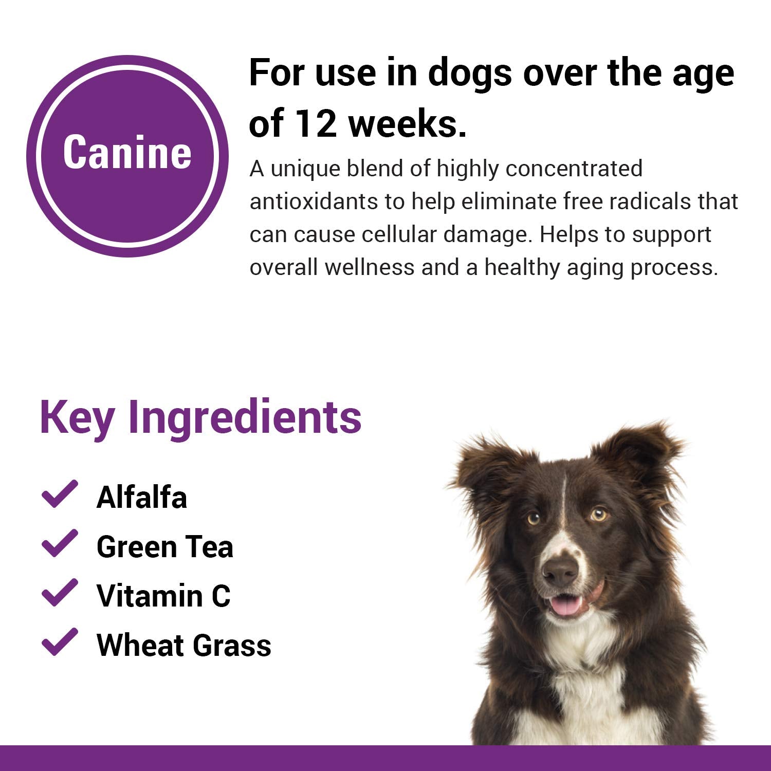 Vet Classics antioxidants product image shows suitability for dogs and cats over 12 weeks.