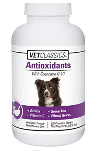 Vet Classics antioxidants bottle shows USA-made label signals reliable daily support.
