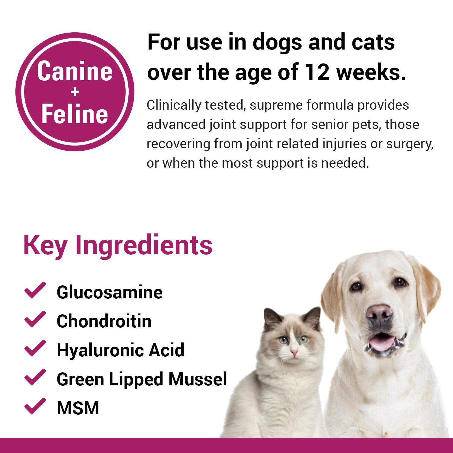 Vet Classics ArthriEASE-Gold cartilage-health-benefits image signals improved activity and comfort