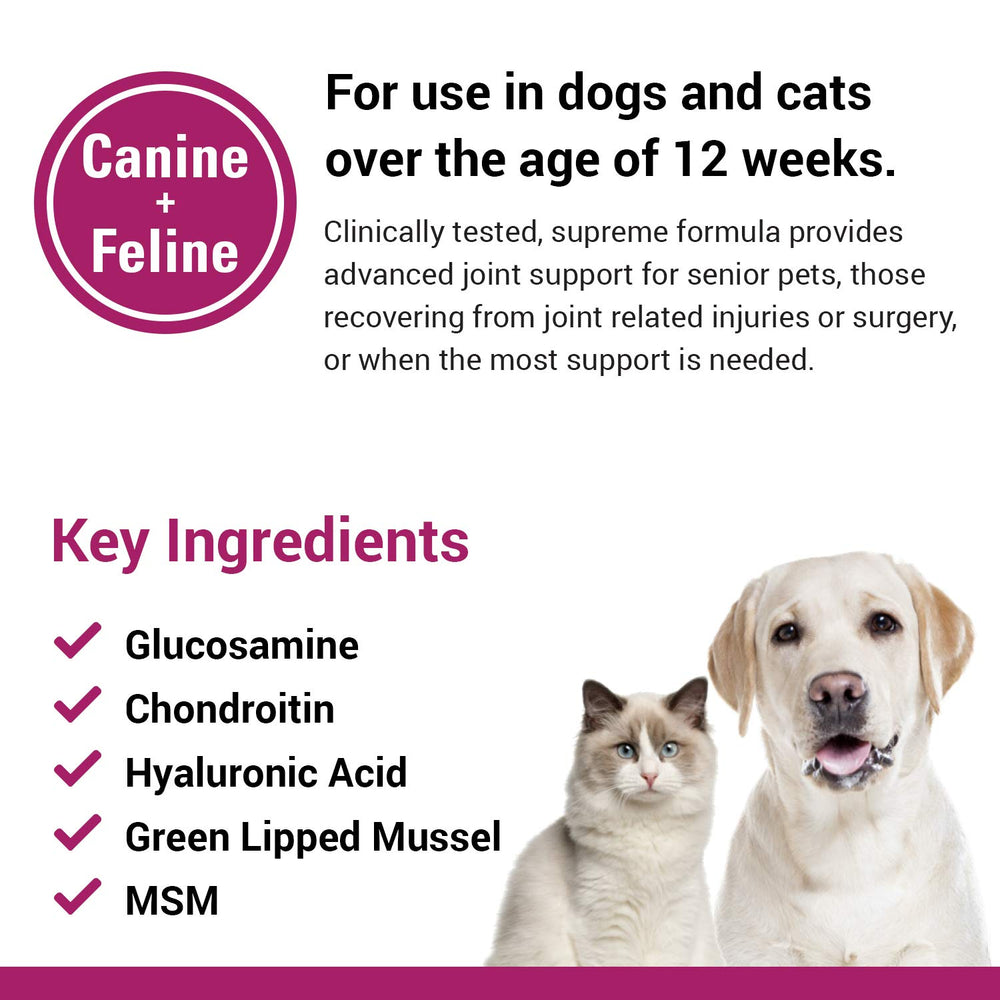 Vet Classics ArthriEASE-Gold cartilage-health-benefits image signals improved activity and comfort