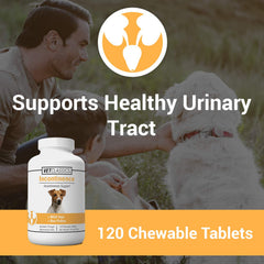 Vet Classics chewable tablets highlight convenient daily dosing for canine bladder support and incontinence management.