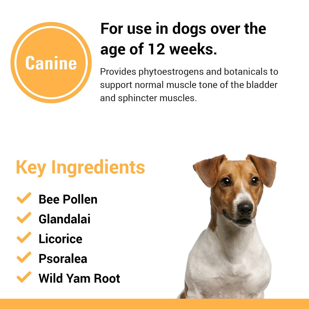 Vet Classics jar front emphasizes easy dosing and owner-friendly chewables for daily bladder care.