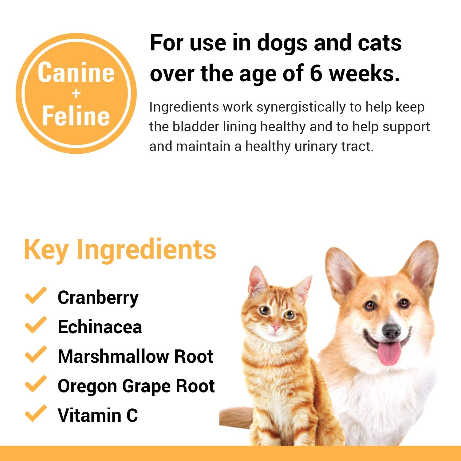 Vet Classics Cranberry Comfort cat use—support bladder health.