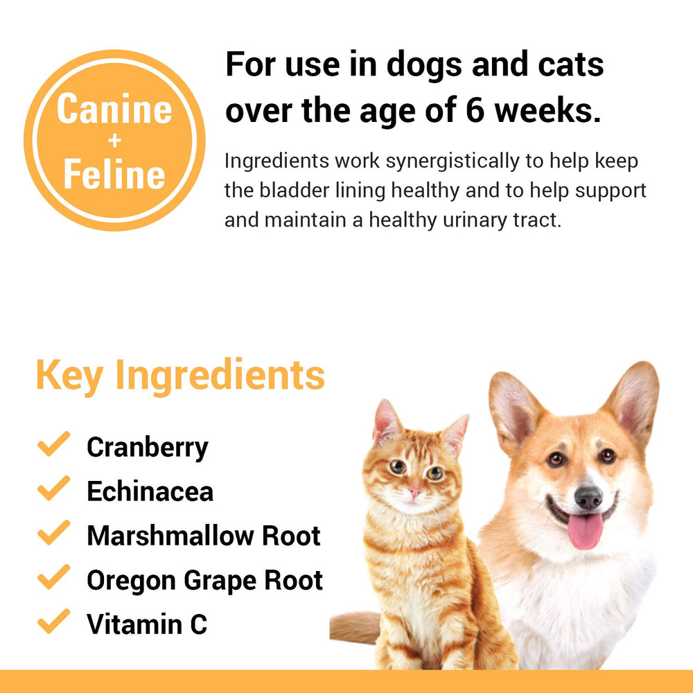 Vet Classics Cranberry Comfort cat use—support bladder health.