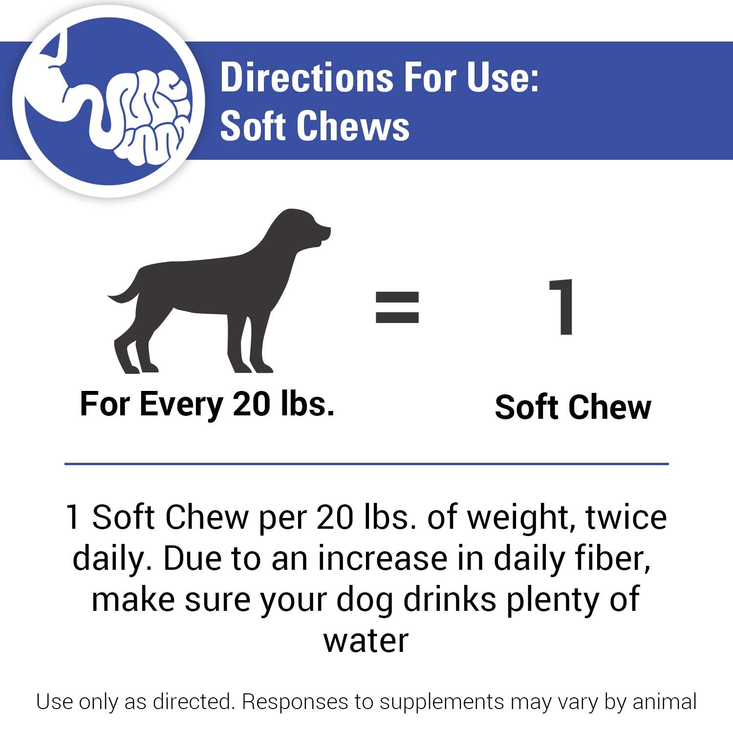 Vet Classics No Scoot bottle on counter reminds daily fiber routine.