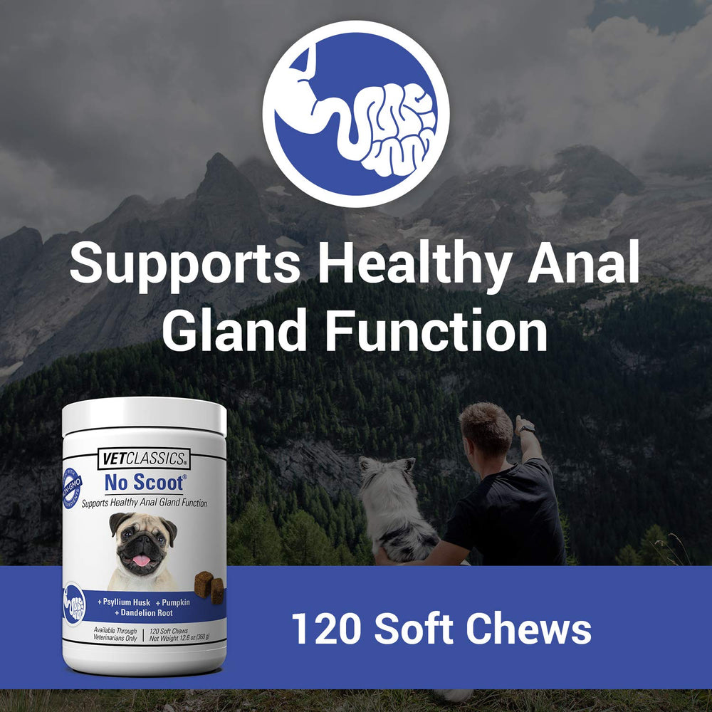 Vet Classics No Scoot label close-up highlights non-GMO ingredients for dogs.