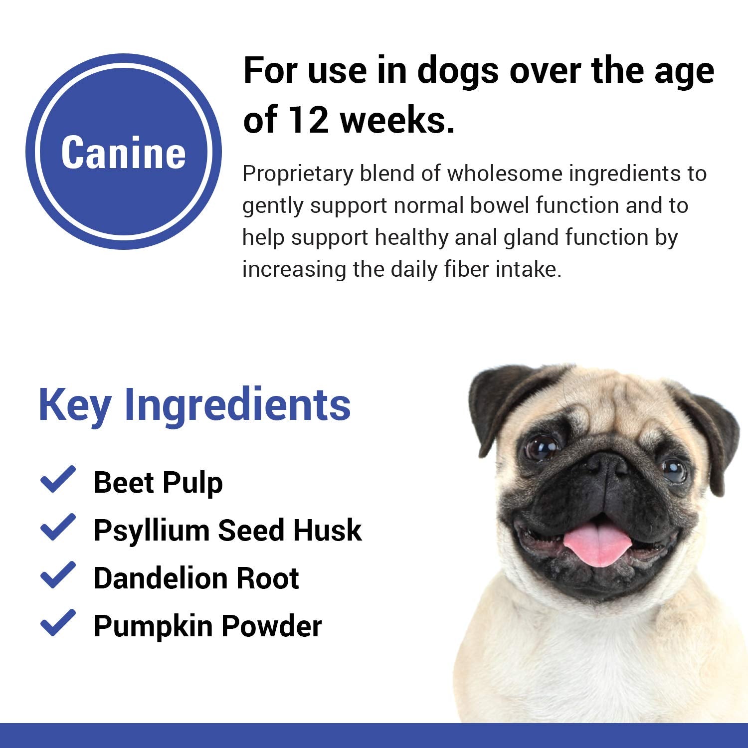 Dog benefiting from Vet Classics No Scoot as a senior-friendly supplement.