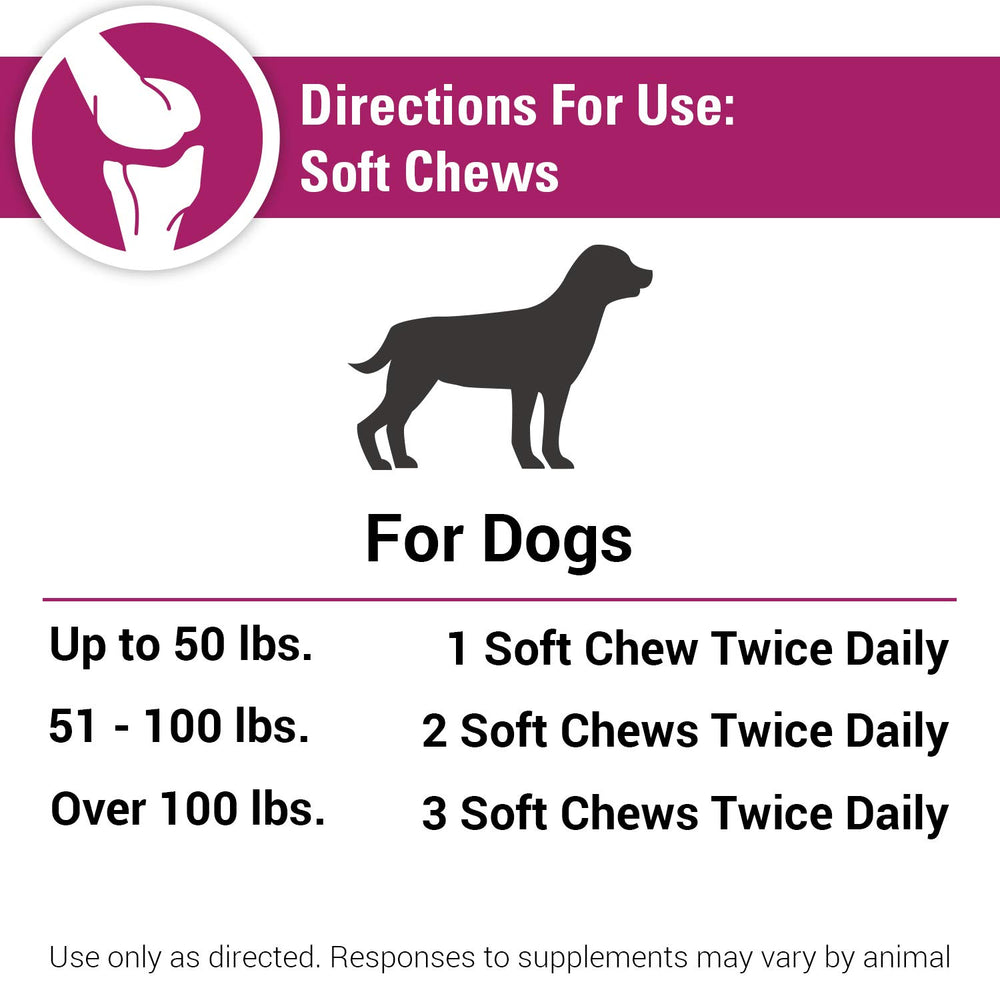 Vet Classics Pain Plus bottle closeup with nutrition label highlights ingredient transparency