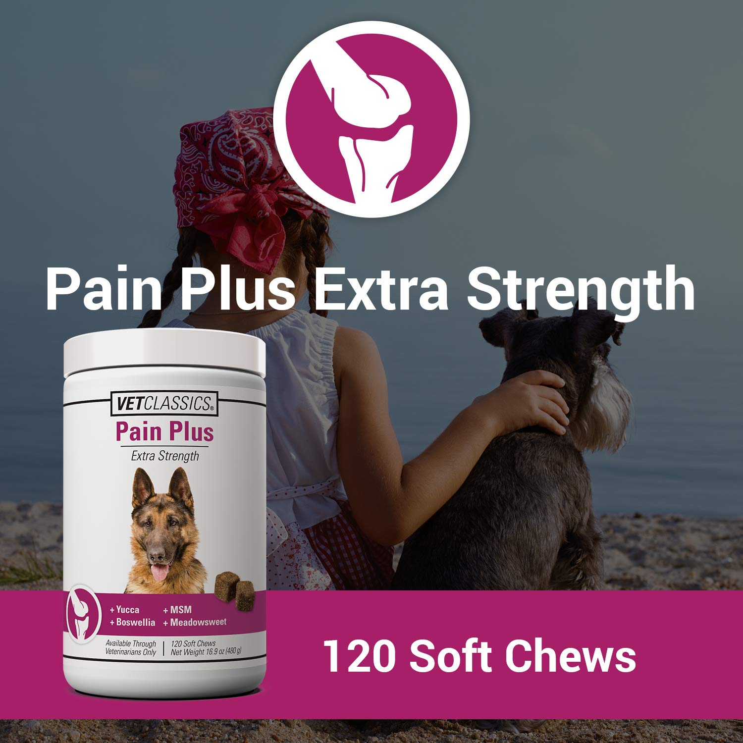 Vet Classics Pain Plus soft chews closeup highlights palatable texture for easy dosing