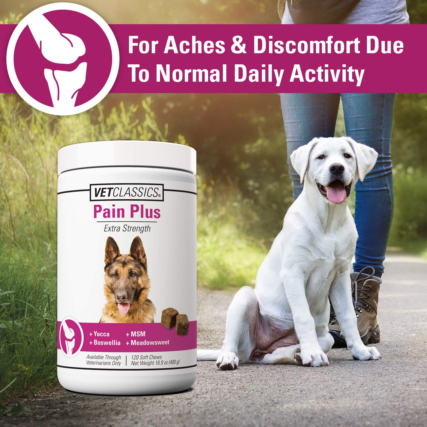 Vet Classics Pain Plus soft chews dog ready ideal for daily walks and activity