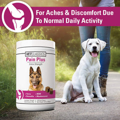 Vet Classics Pain Plus soft chews dog ready ideal for daily walks and activity