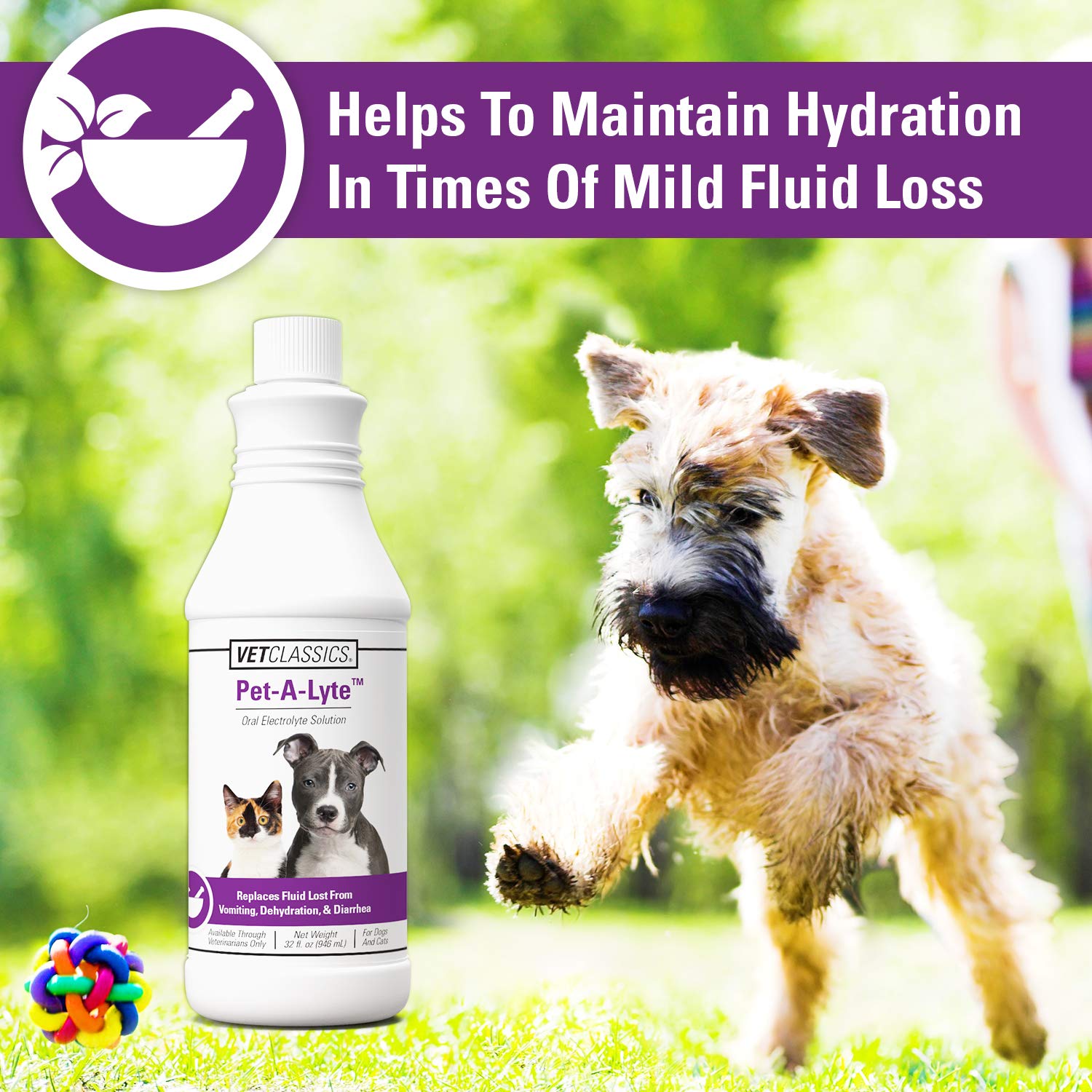 Vet Classics Pet-A-Lyte label notes 32 oz bottle for diarrhea support.