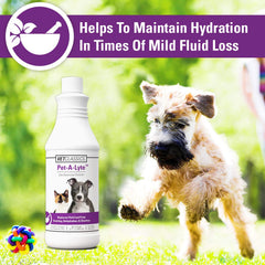Vet Classics Pet-A-Lyte label notes 32 oz bottle for diarrhea support.