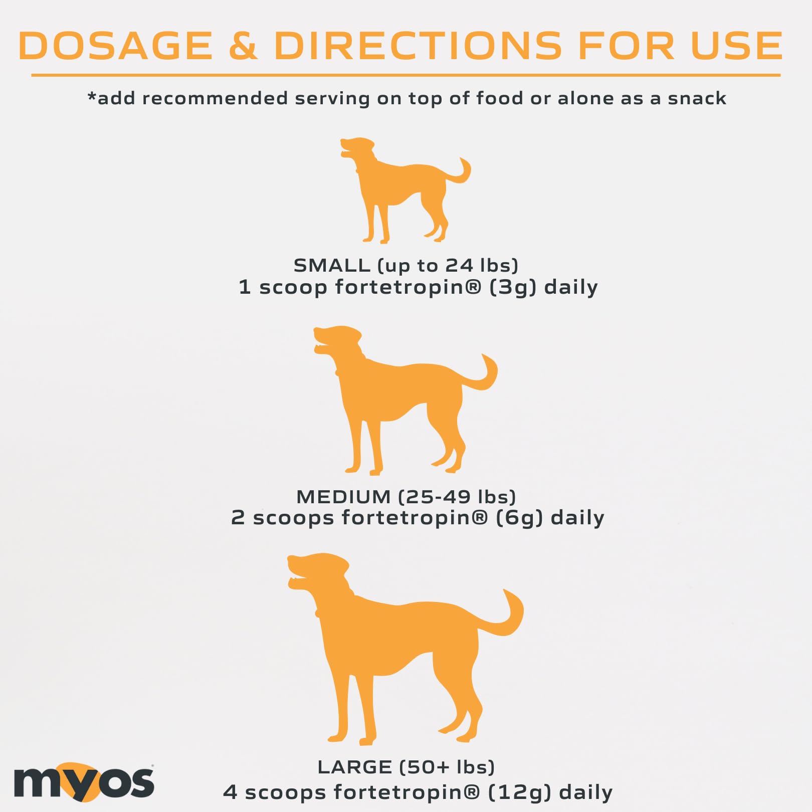 Vet clinic scene emphasizes professional trust in natural canine supplements