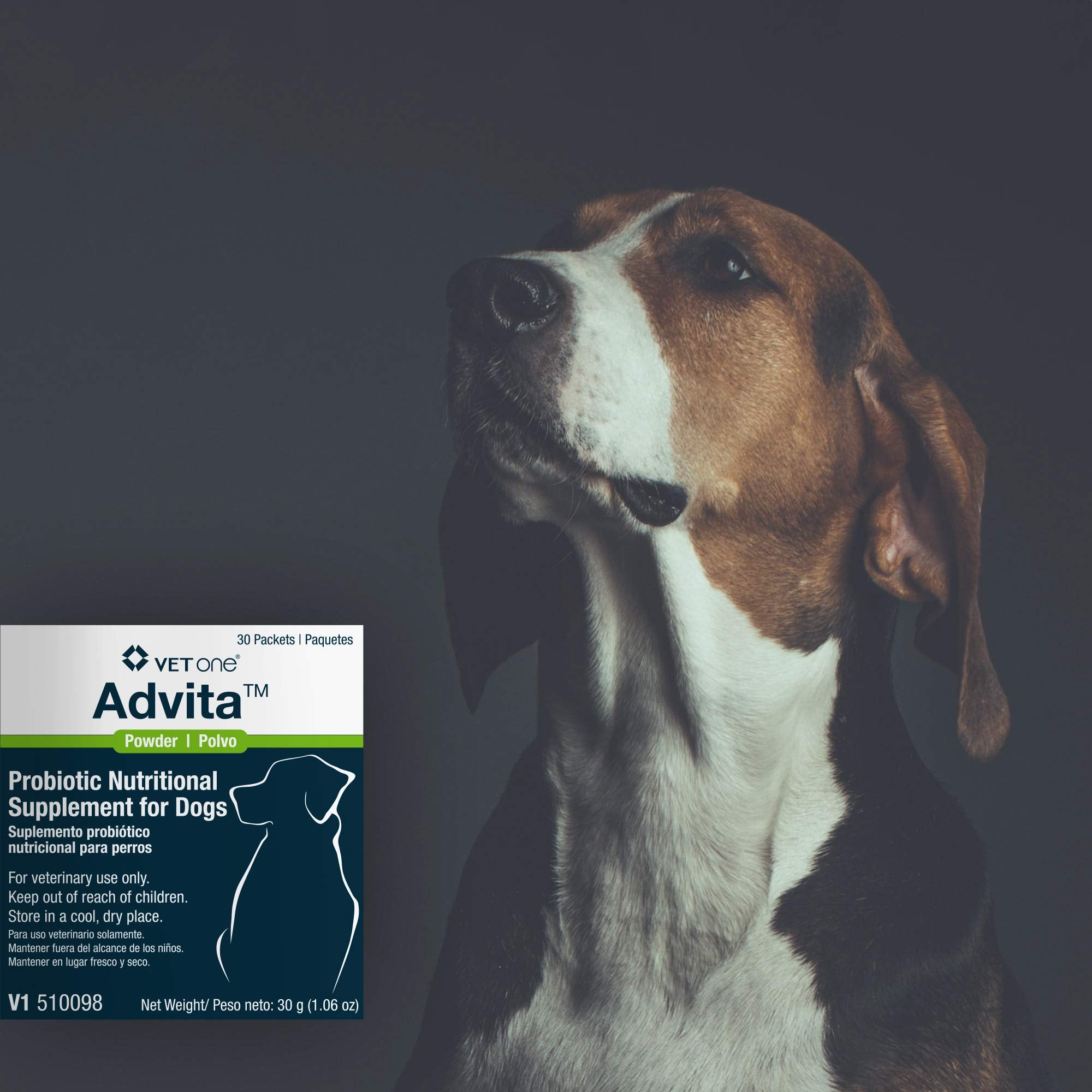 Dog enjoys a meal with Vet One Advita powder supporting appetite