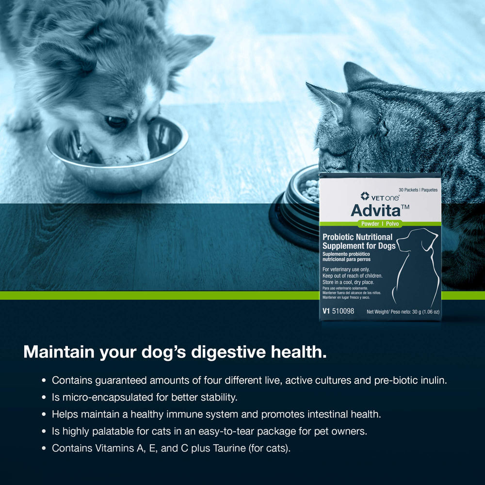 Three-pack Vet One Advita box highlighting ongoing daily probiotic use