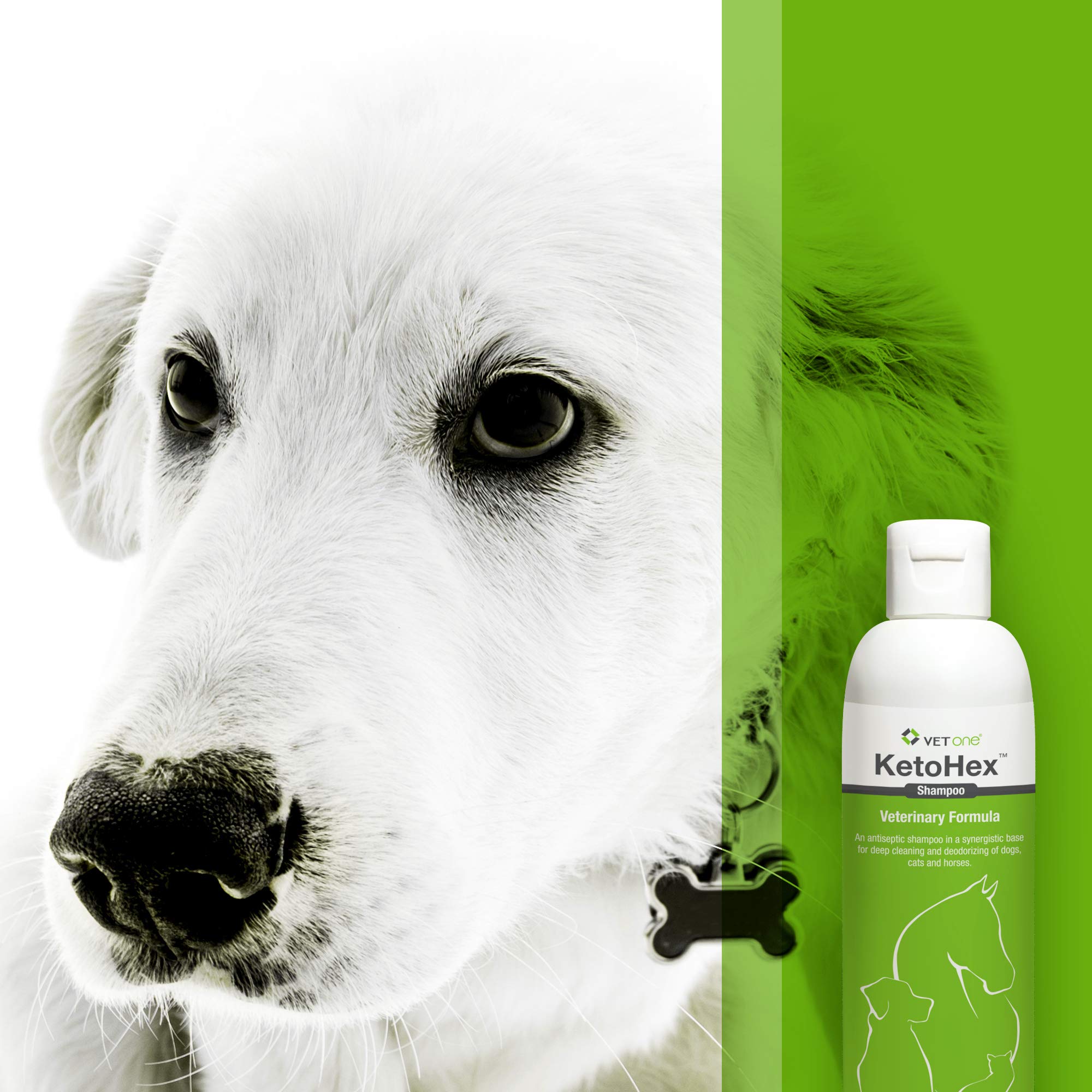 Vet One dog allergy shampoo bathroom-scene illustrates convenient at-home baths