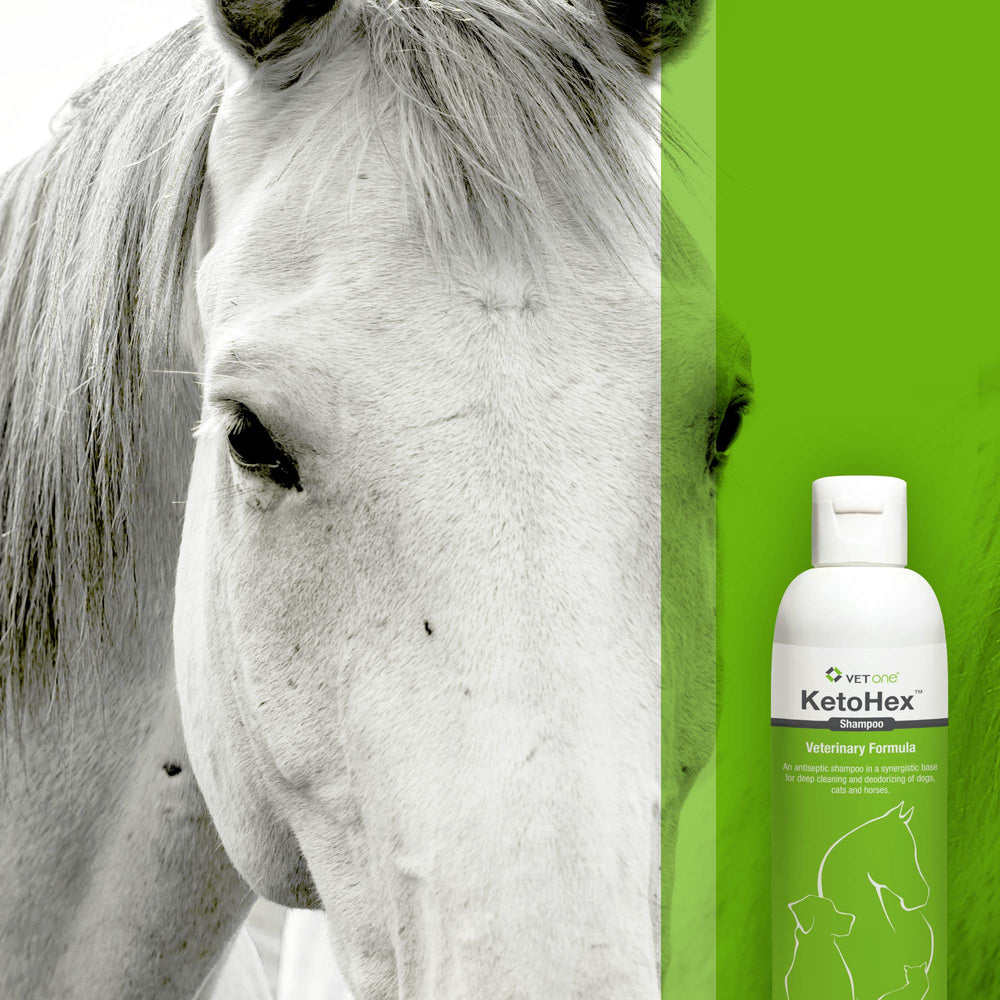 Vet One dog allergy shampoo closeup-ingredients-chart highlights gentle formula