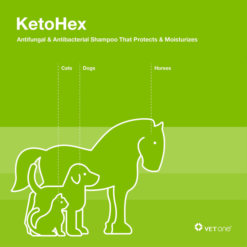 Vet One dog allergy shampoo label-detail focuses on vet-formula ingredients