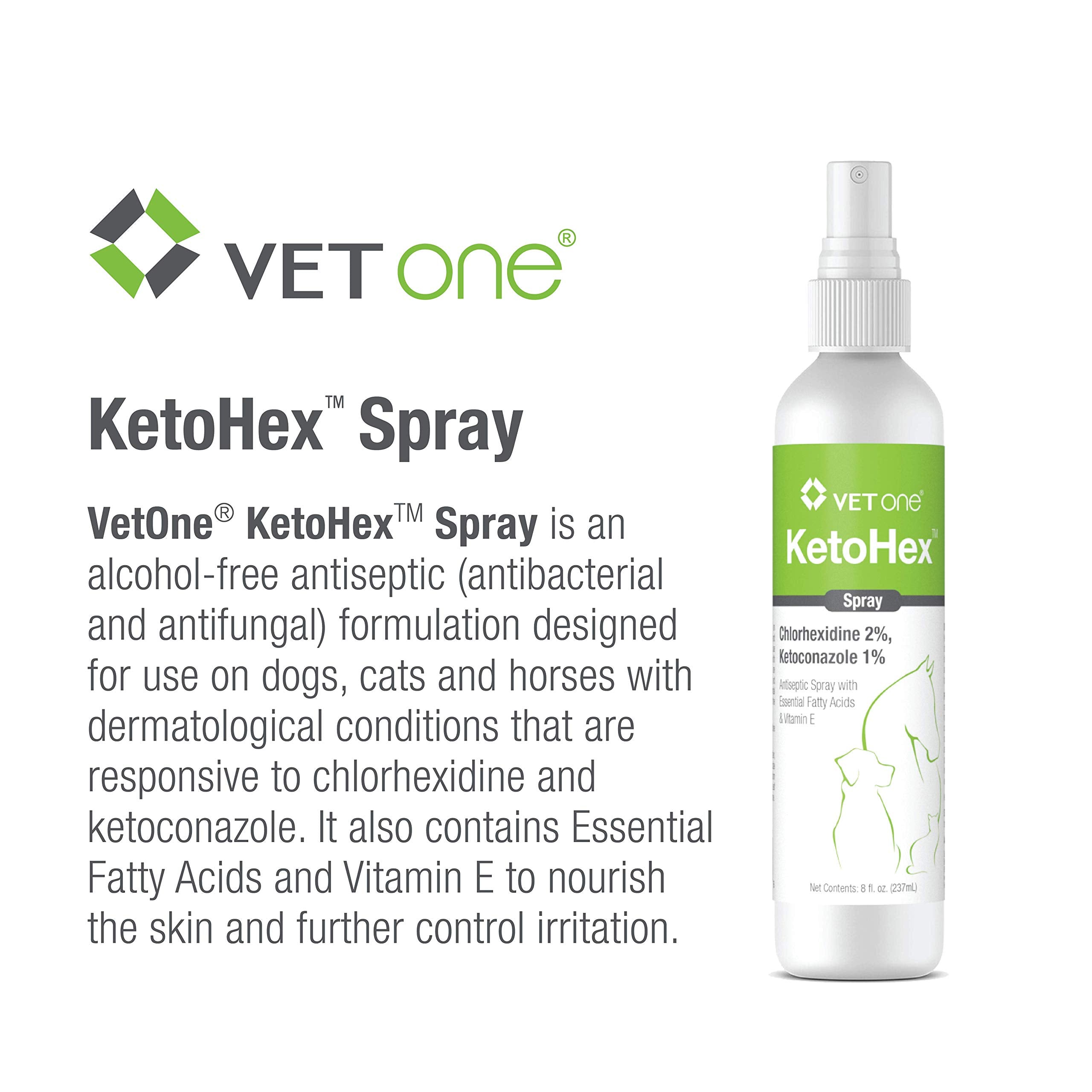 Vet One Ketohex Spray on a dog's fur after outdoor activity.
