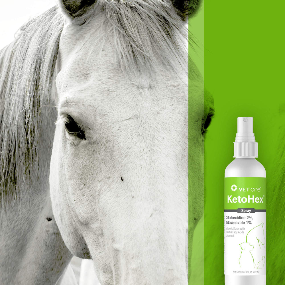 Vet One Ketohex Spray applied to a pet's coat.