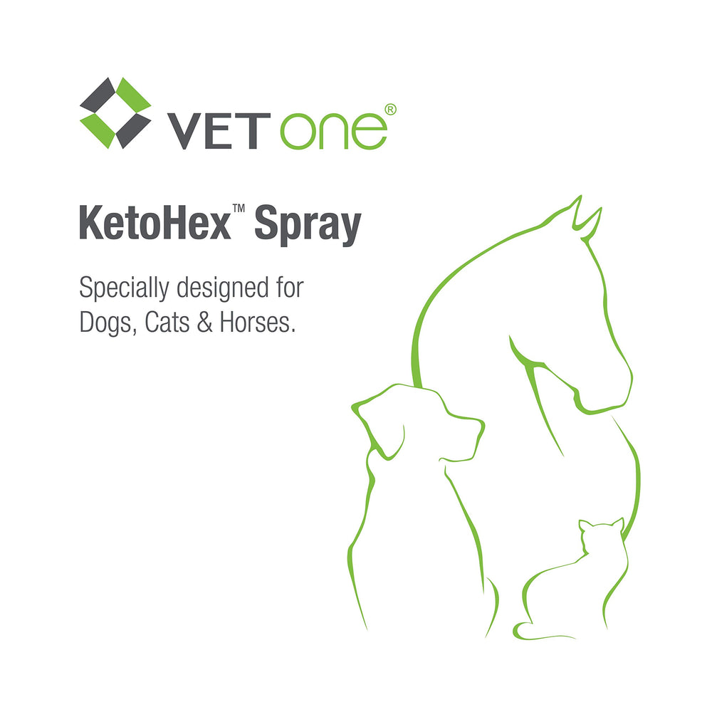 Vet One Ketohex Spray near a cat's paw during routine care.