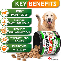 Vet Promise 2-pack packaging for glucosamine chews provides convenient joint support
