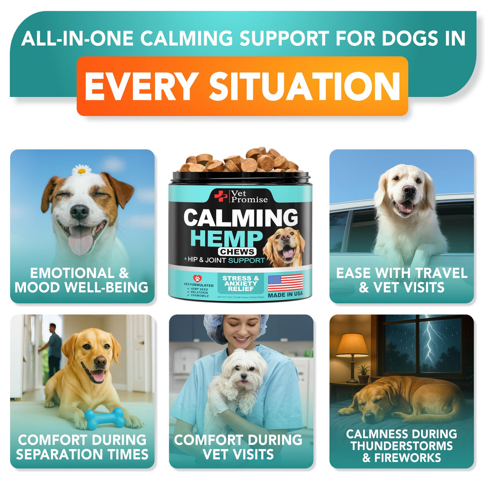 Vet Promise Advanced Calming Chews tin close-up highlighting hemp and melatonin for stress relief.