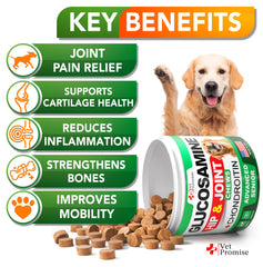 Vet Promise Advanced Glucosamine dog chews closeup with appealing texture for easy dosing.